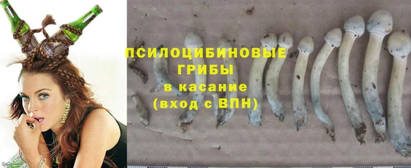 а пвп мука Алзамай