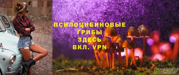 apvp Абинск