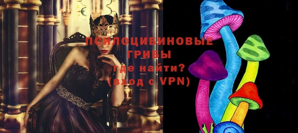 спиды Абдулино