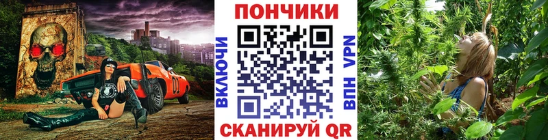 сколько стоит  Искитим  Бошки Шишки планчик 